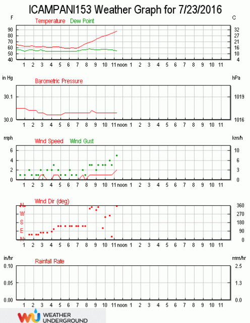 grafico (1).gif