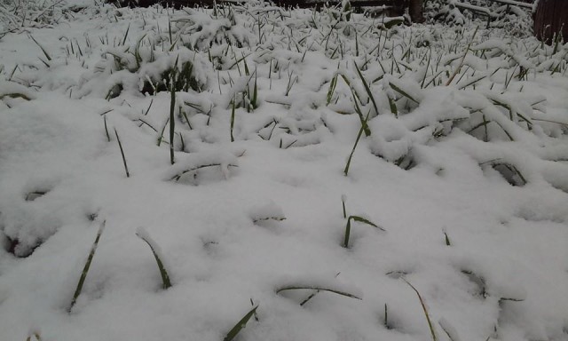 montemarano, 12 marzo,.jpg