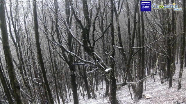 monteparteniobosco3mega.jpg