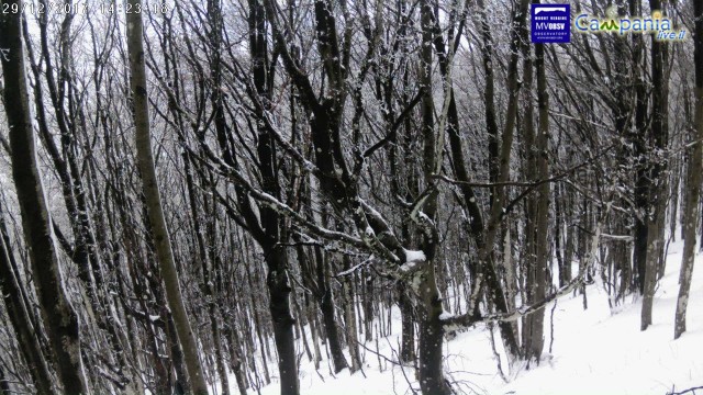 monteparteniobosco3mega.jpg