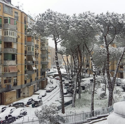 Napoli-NEVE-0102.png