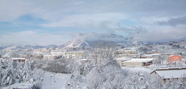 Neve 4 Febbraio 2012.jpg