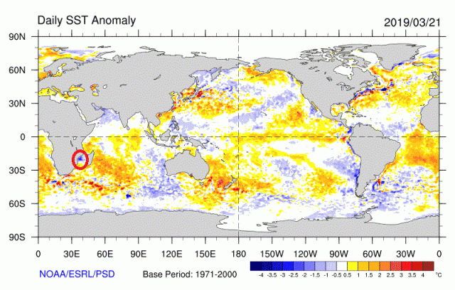 sst.daily.anom.gif