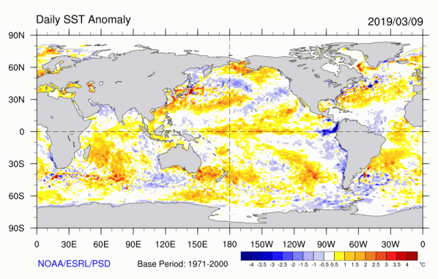 sst.daily.anom.20190309.gif