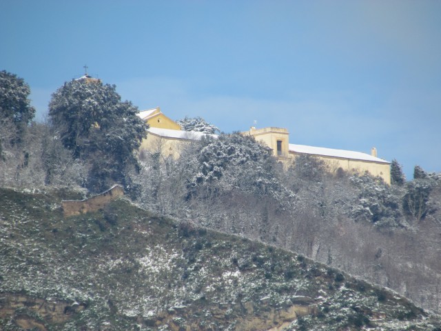 Brigidine on ice.jpg