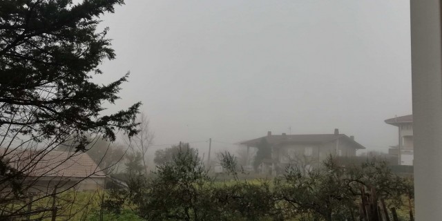 nebbia_n.jpg