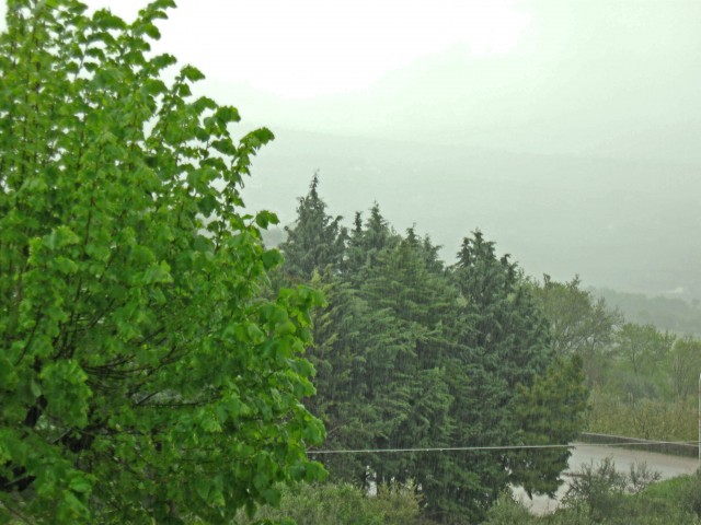 Pioggia primaverile 28-04-2015.JPG