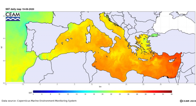 SST-MED-CMEMS-latest.png