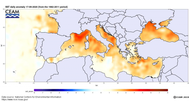 SST-NCEI-daily-anomaly-latest.png