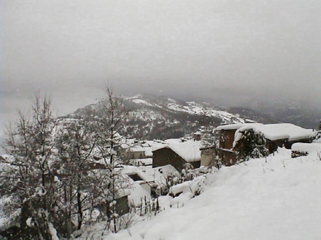 Montano 2005-16.jpg