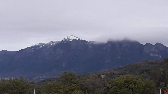 alburni neve 09122020.jpg