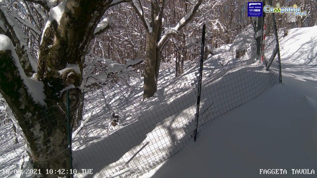 monteparteniobosco3mega.jpg