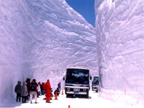 japansnow[1].jpg