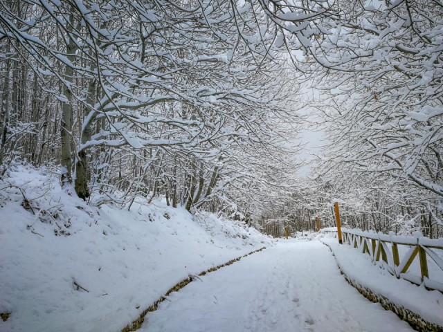 percorso-ambientale.jpg