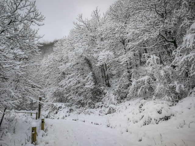 percorso-ambientale2.jpg