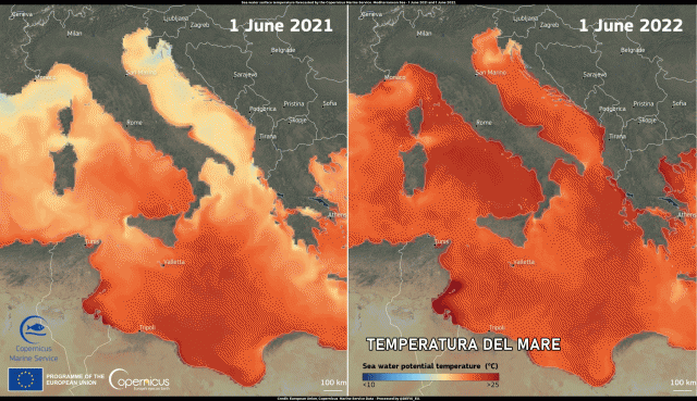 __152341___mediterraneo_rovente.gif