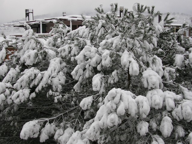 Nevicata Febbraio 2005 046.jpg