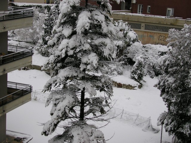 Nevicata Febbraio 2005 047.jpg