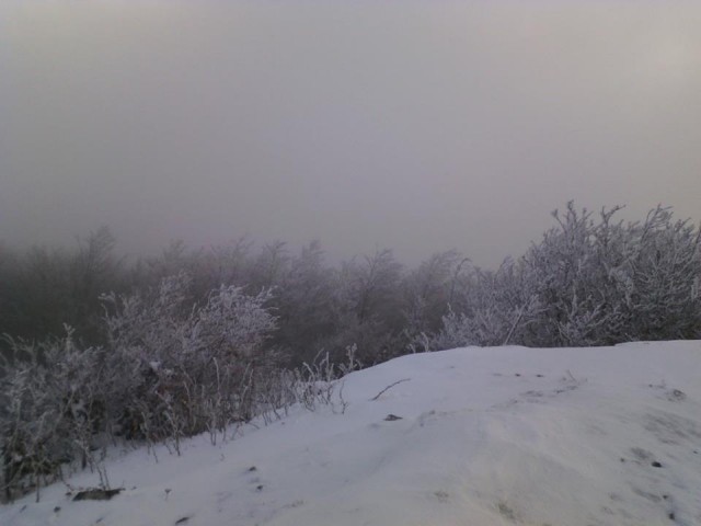 neve sopra pinte di dietro 19.jpg