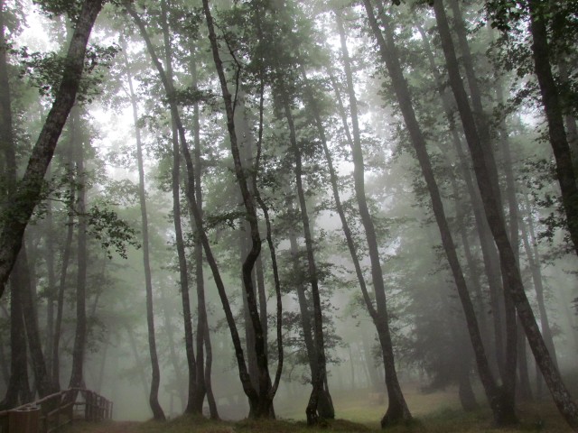 Acqua delle conche-1.jpg