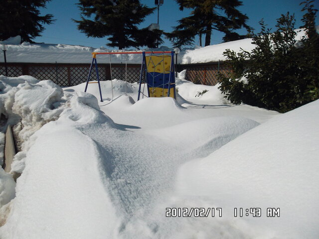 SAM_0951 - Copia.JPG