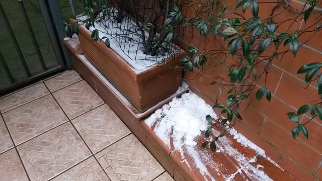 neve muretto giardino casa mia.jpg