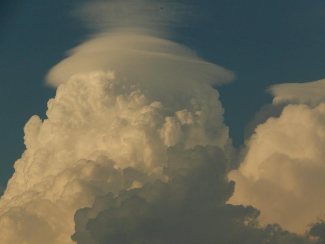 cumulonimbus pileus.jpg