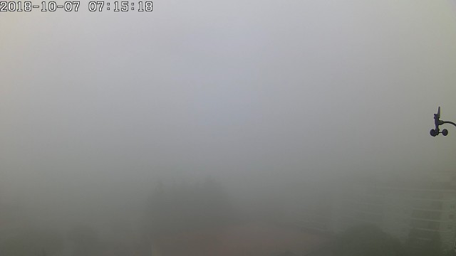 nebbia.jpg