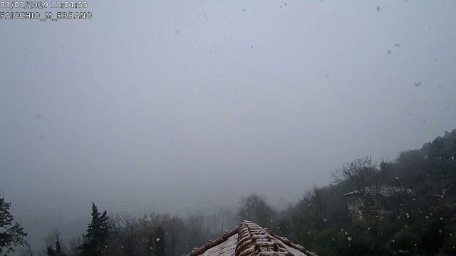 Cam 1 - 2019-01-03 11.01.57.jpg