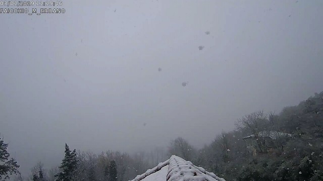 Cam 1 - 2019-01-03 11.19.48.jpg