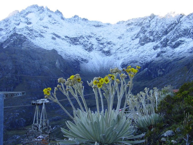 pico_bolivar_nevado_by_gruyita.jpg