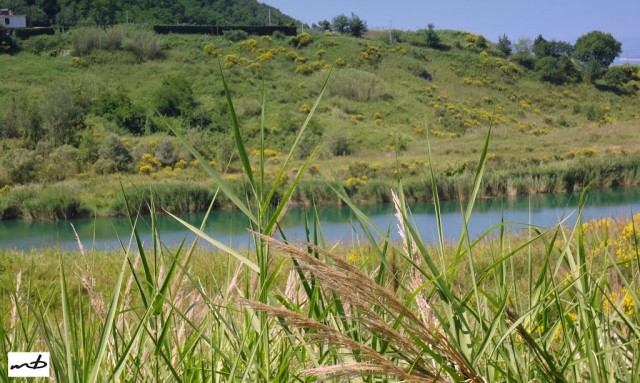 lago di Brignano.jpg