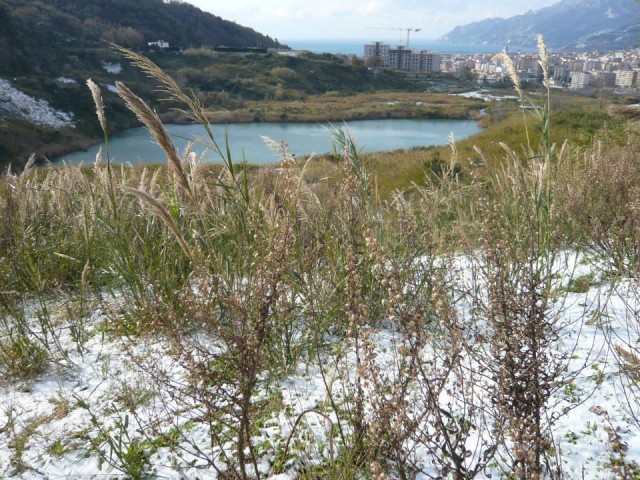 lago di brignano neve 6.jpg