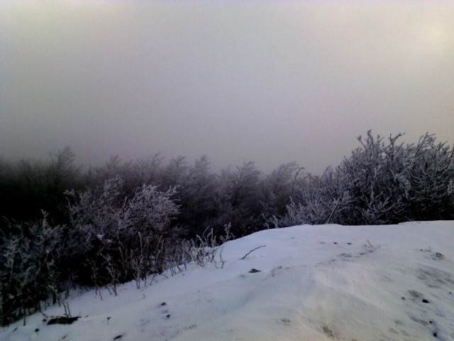 neve cespugl cime galavern.jpg