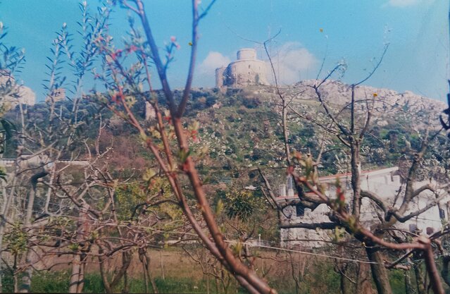 torre primavera 1995.jpg