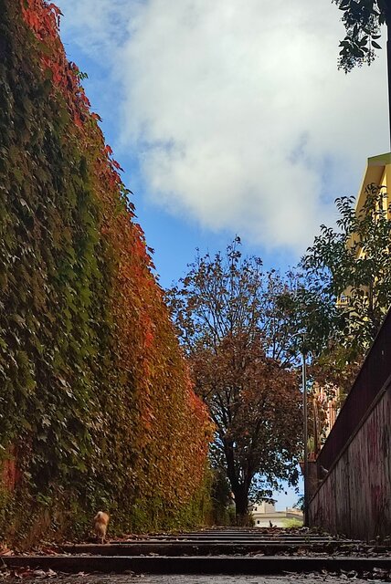 autunno urbano.jpg