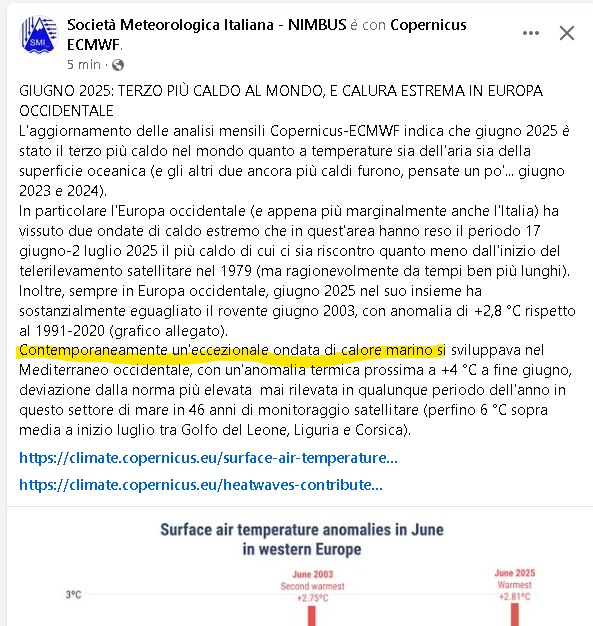 Immagine 2025-07-09 115007.png