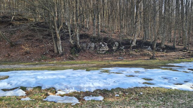 20260410_173219.jpg