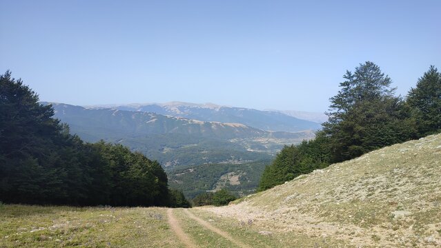 IMG_20260825_093700.jpg