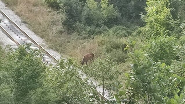 IMG_20260827_075048.jpg